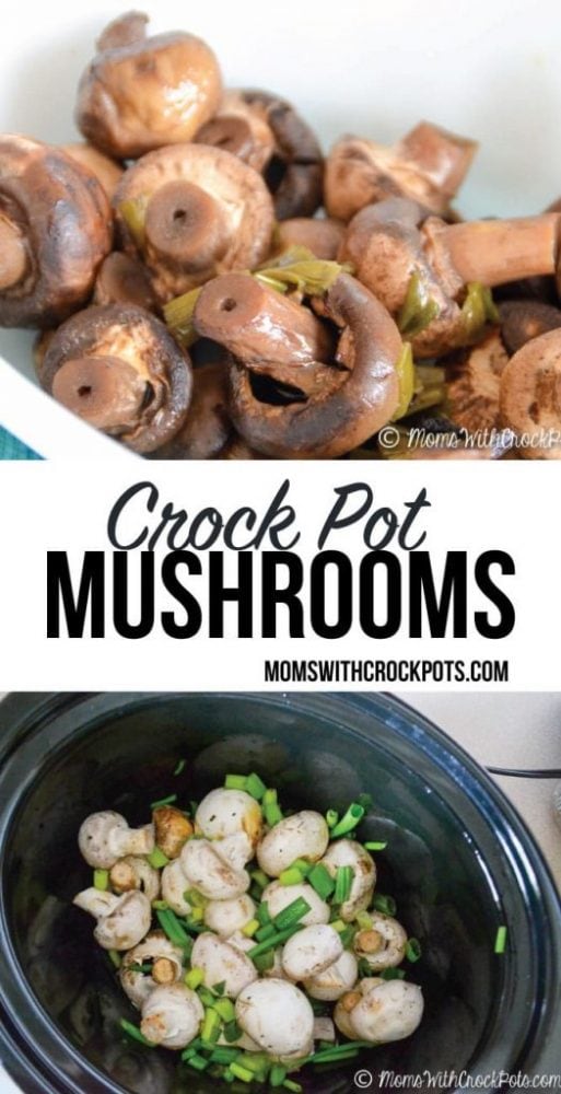 Crock Pot Mushrooms - Moms with Crockpots