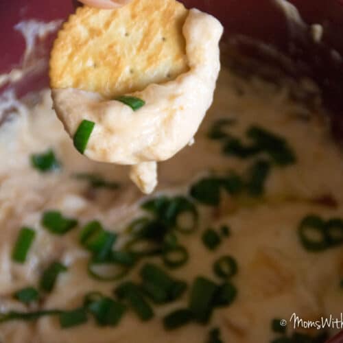 20 Delicious Crock Pot Dip Recipes - unOriginal Mom