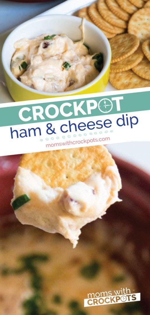 20 Delicious Crock Pot Dip Recipes - unOriginal Mom